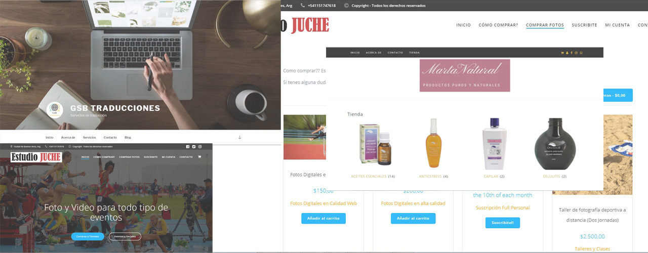 DESARROLLO WEB