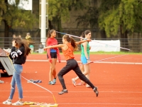 Torneo UFEDEM